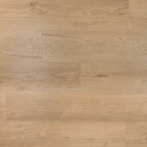 Douwes Dekker PVC plak riante plank gemberkoek