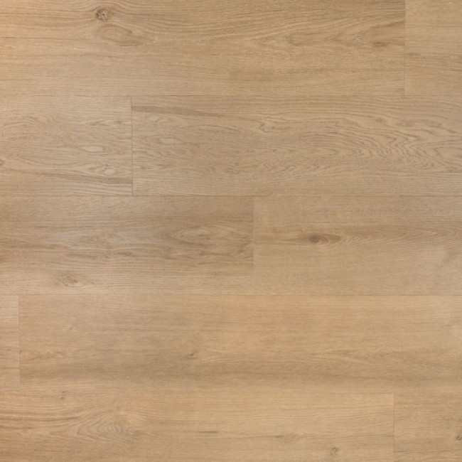 Douwes Dekker PVC plak riante plank gemberkoek